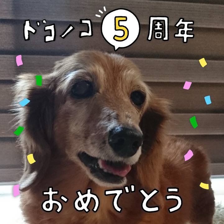 F7369856 b98e 49fe a178 74d0f8a2581e 1622904674643