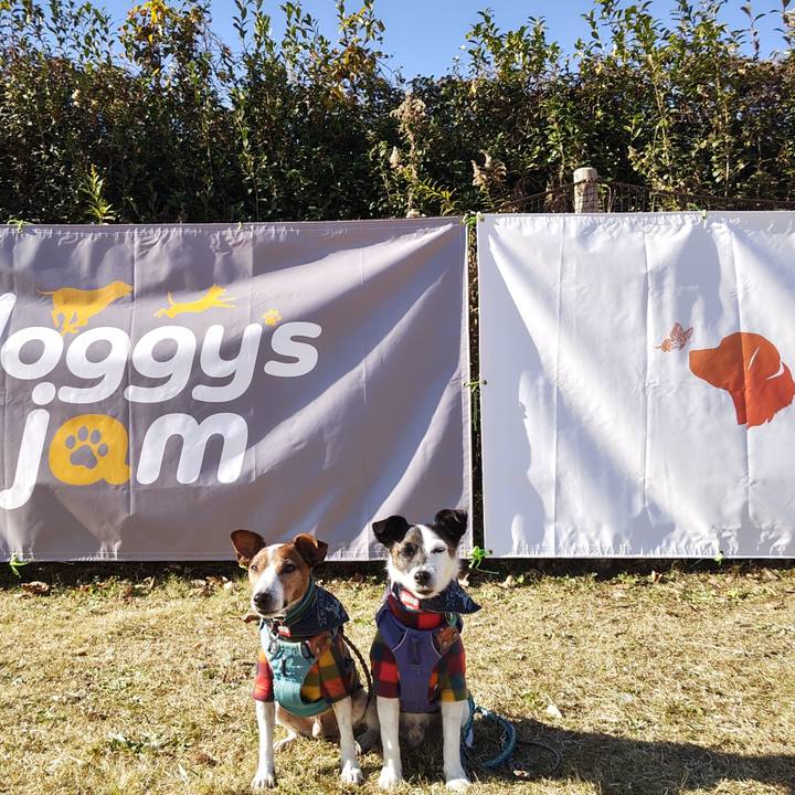 F736c579 f824 4f50 80d0 ec469a273e45 1733621399852