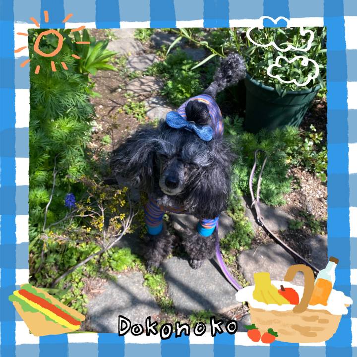 F736d676 4cd2 4e58 90ac 9159213a888a 1744376394502