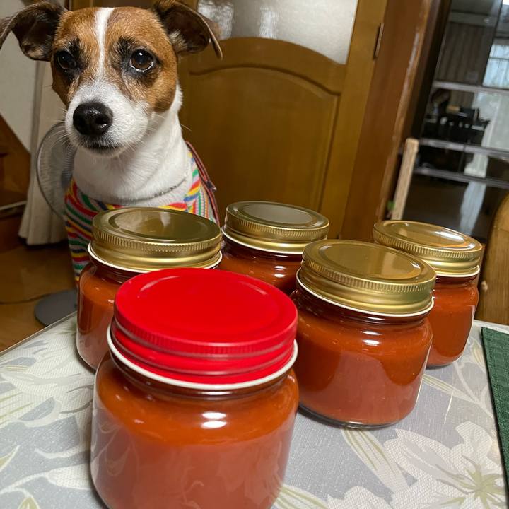 F737023d e2de 487b 9372 b19d159394e4 1693039413833