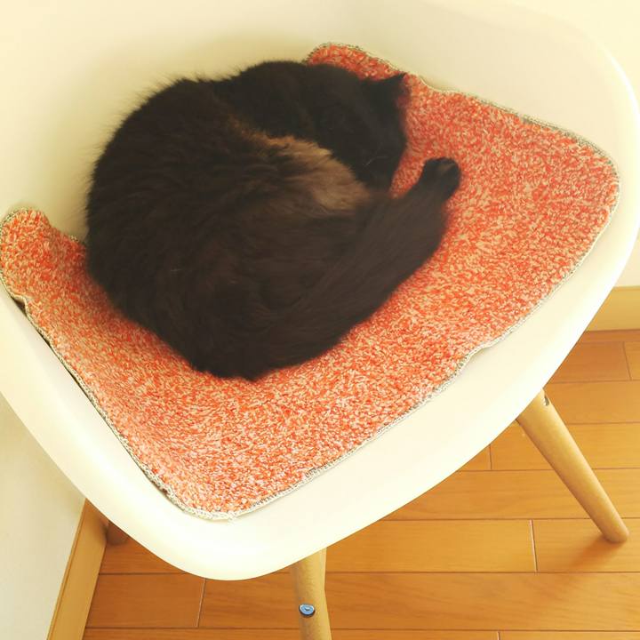 F737338e 959c 4b4e a9d4 1f03e7ba32f4 1510368350634