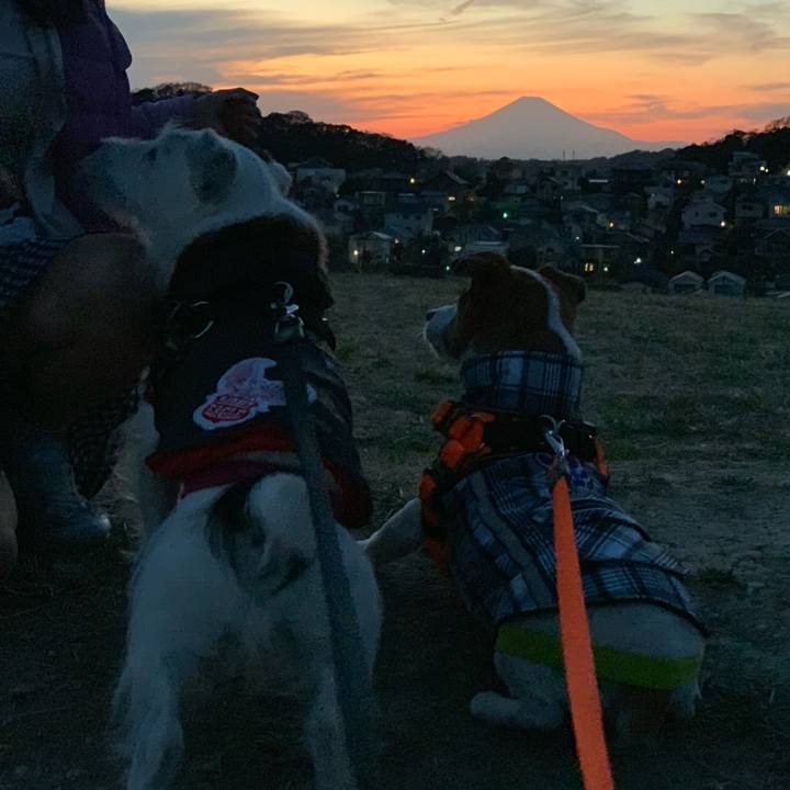 F7378cca 065c 42a7 be89 def168ad2d75 1547196239671