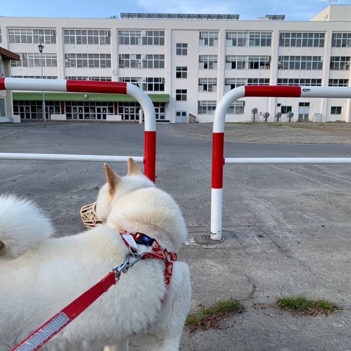 F737b8a6 277d 476c af9d 40781dd890b0 1558214888865