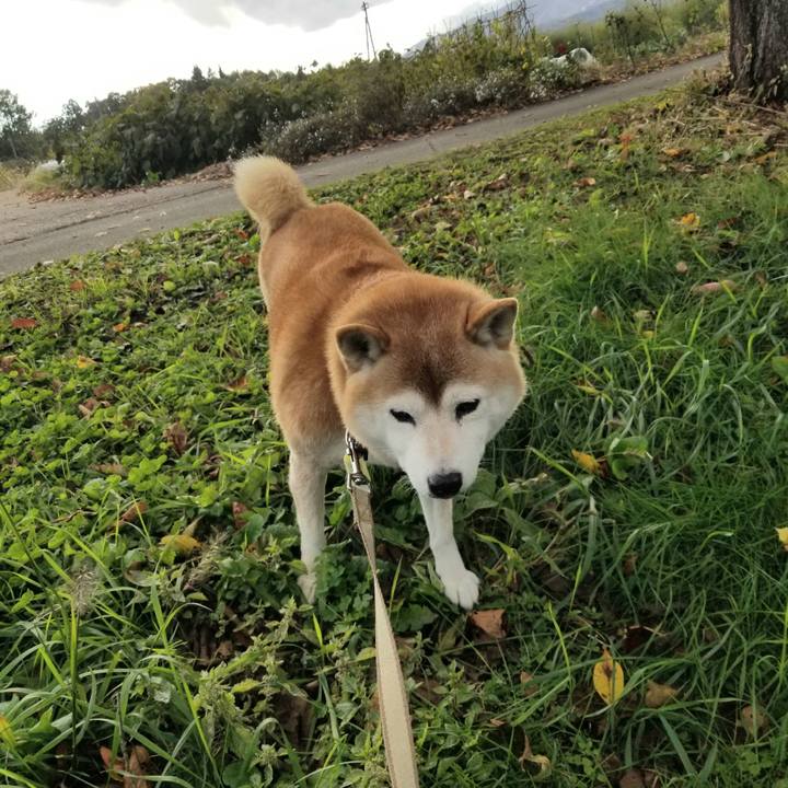 F737f313 cc6c 48d3 903b d191967a81f5 1667022567686