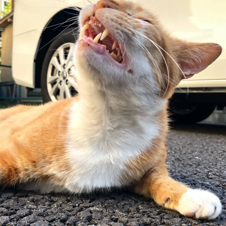 F738175a 94ea 4739 9e80 d6e1f38dd8fb 1569073113971