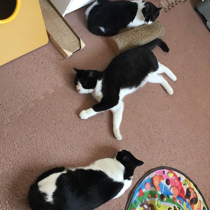 F73822f1 02cd 4727 b365 5ce221159c6f 1524446195928