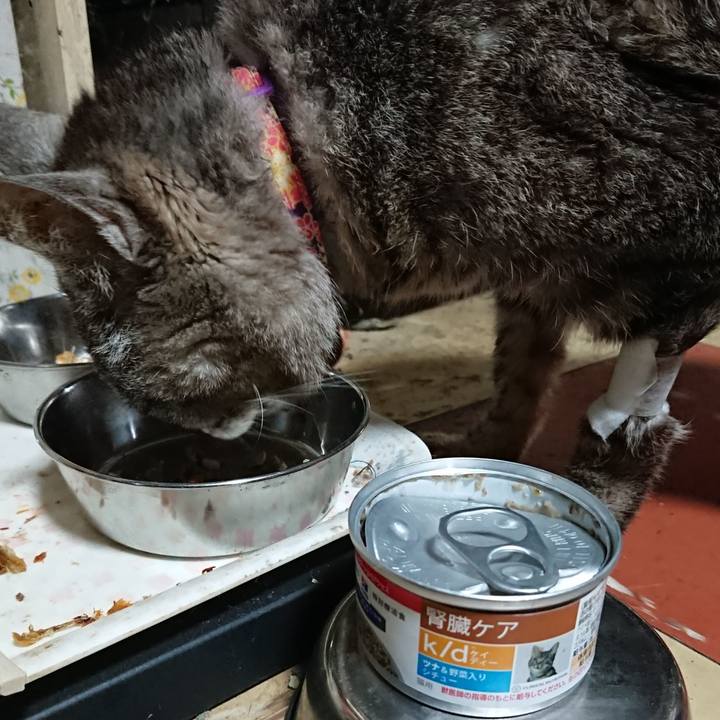 F73833ee 3b77 4802 b772 33ae3638ae1c 1595476552928