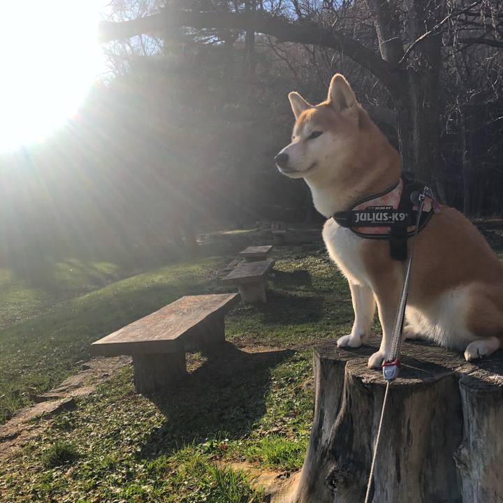 F73868cb b182 4fa7 86ab 58e5d37da722 1542676244568