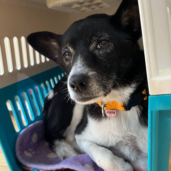 F738e75f 2af5 4c39 a43f 35a4707e9b32 1685490179425