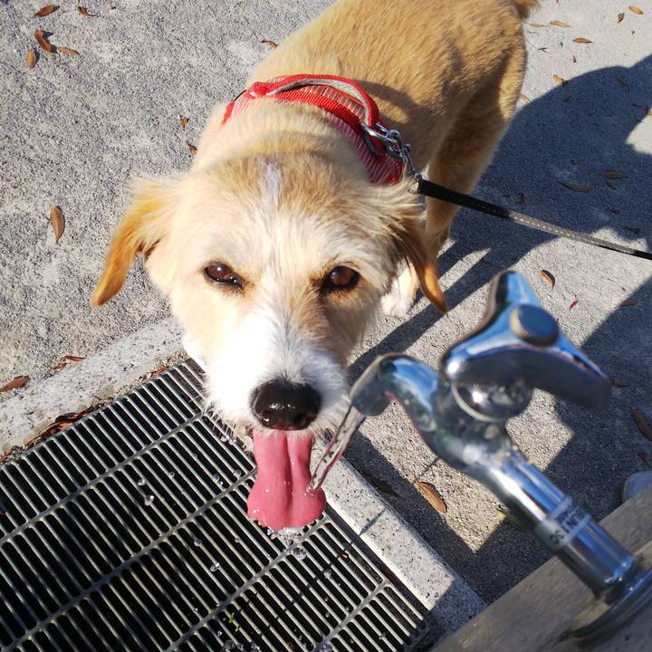 F73920f3 160b 4432 b589 f3fbbcf3d797 1561450901403