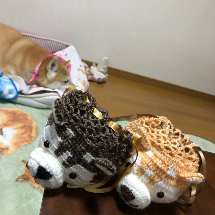 F7392b70 7e41 4121 899c 04c221007af9 1605016816519