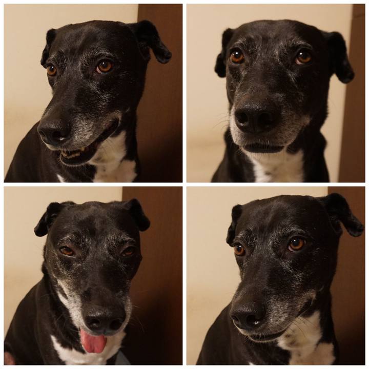 F7394e0f aef7 4c0c b07b 2758444ce260 1755006072952