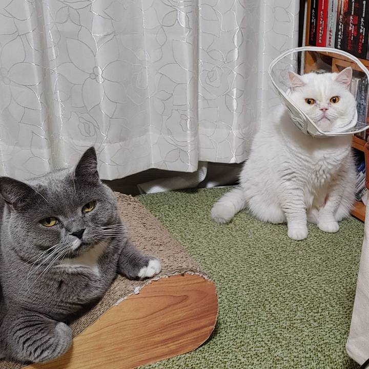 F739836c baee 44d7 8ae6 6b49f978f47b 1662468841556