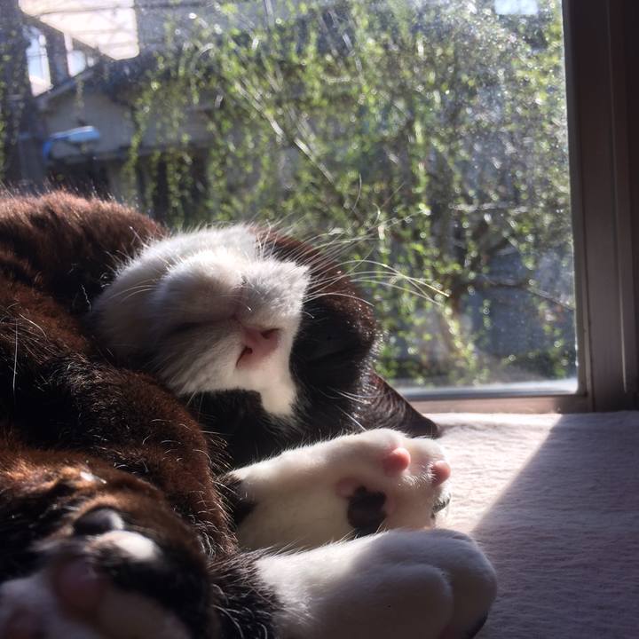 F739c221 a6c1 4fa4 bad9 d2a52842d93e 1583885137395