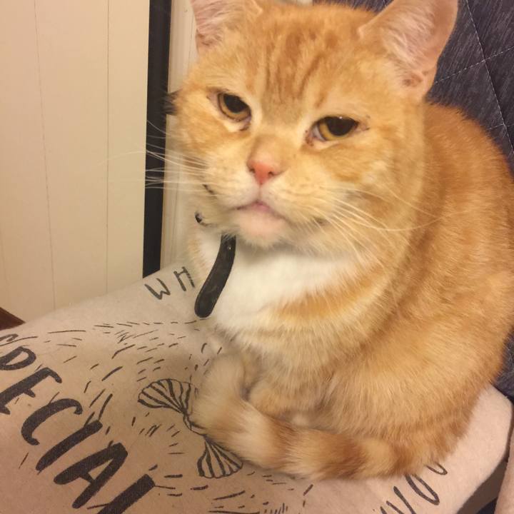 F73a1594 4914 4ea1 915d 325e82766608 1547391928629