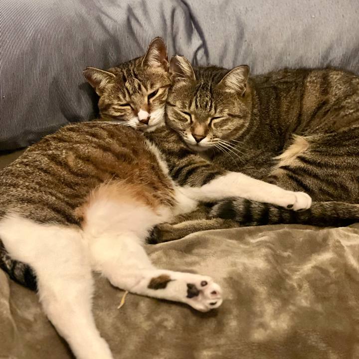 F73a1720 6351 4f56 9c8e d96d91a41e6c 1764333233381