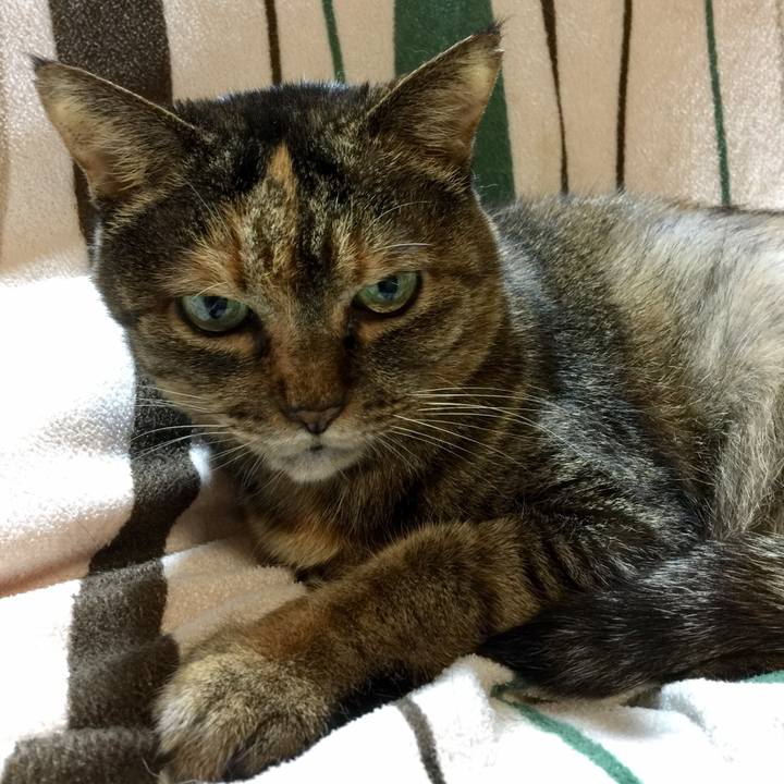 F73a551f da0d 472f a674 700b2007fdd9 1509102833399