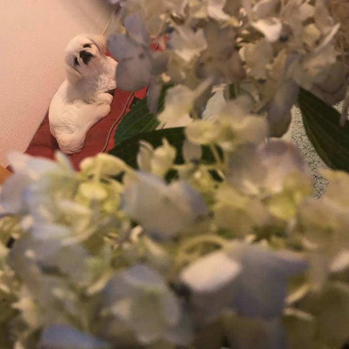 F73a698a 45df 4402 bf79 169c973dcd64 1527751019591