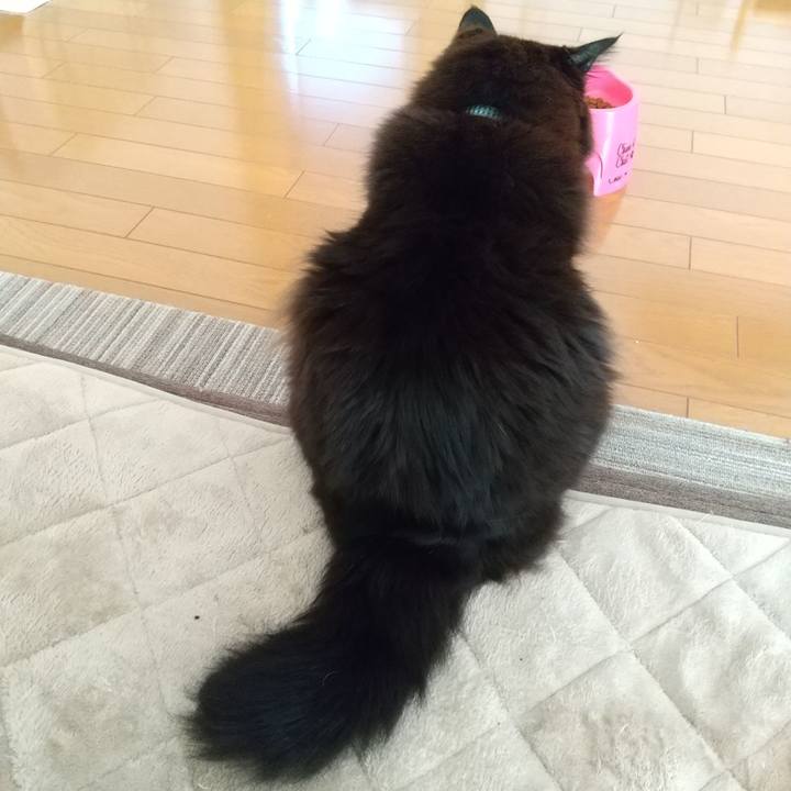 F73a78a0 c03d 4e06 b695 1847dec353f4 1673754250360