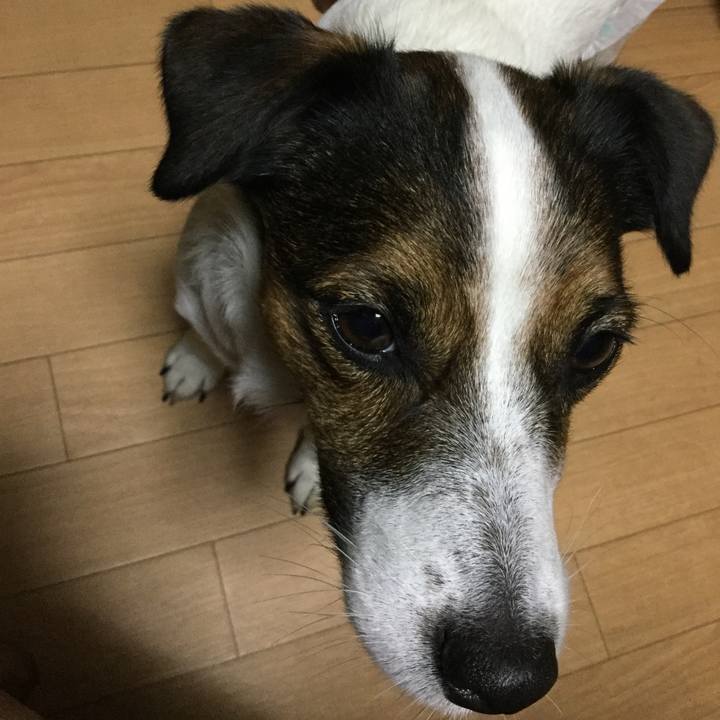 F73af793 2ebd 411a a72d 98142df80798 1543227879133