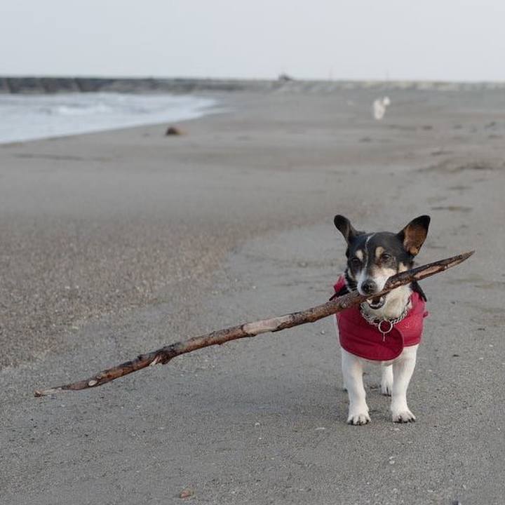 F73b3085 ba8f 4239 8e11 0bde7eebbb2a 1551757855858