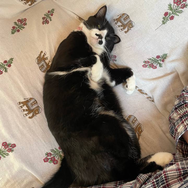 F73b6979 4d1b 46a7 a3e1 8e2d64400f0d 1698361348497