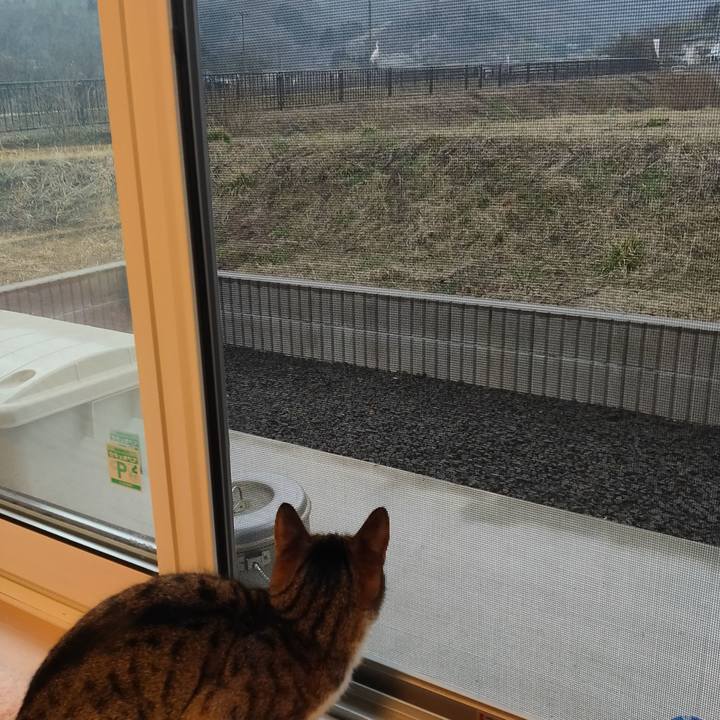 F73b6f39 beda 4c1c ac0c 544757f9f832 1678661985946