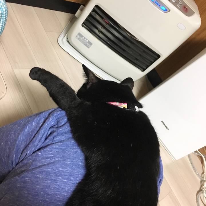 F73b767a f92e 4b63 aa6d c0c79c8ecbe9 1515933874705