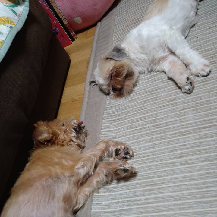 F73b7e99 765e 42ca 88b9 e50bc79739ed 1598873681949