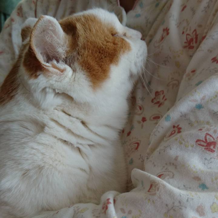 F73b9e45 7d8d 4a35 a37c 18da3afec2af 1553297307461