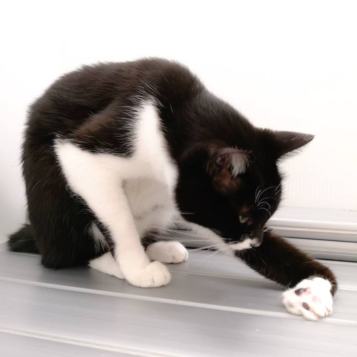 F73ba8bc 6f79 47f7 894d 00f411bbb012 1546710394805