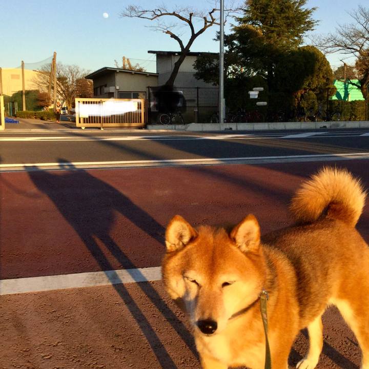 F73bcdc0 7399 4205 9cda c808acae1507 1578556673925