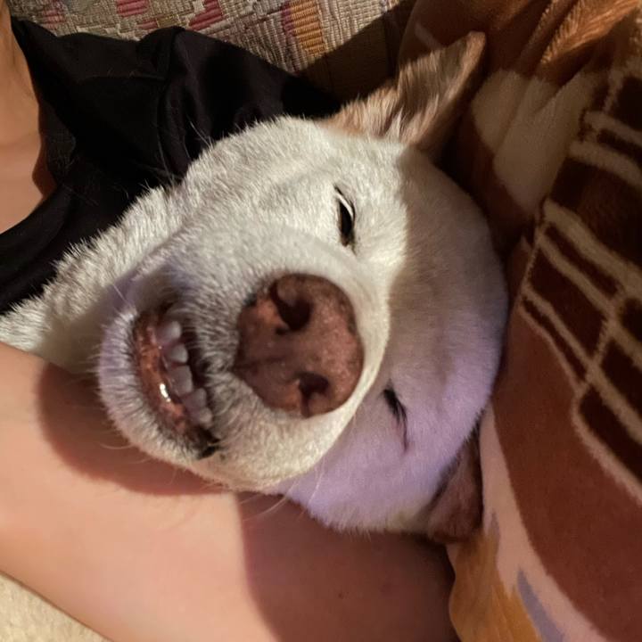 F73bd304 b349 4b75 a677 b4ac8248fb54 1659893596175