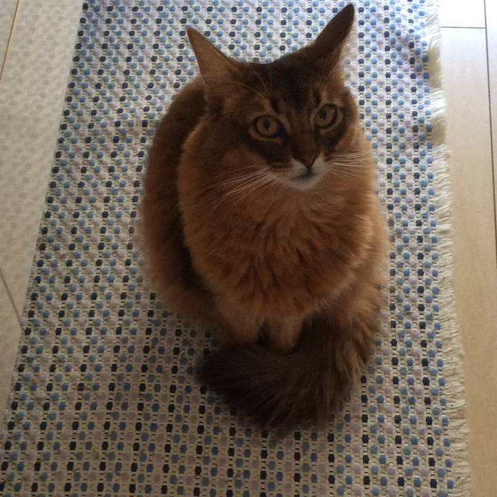 F73bd9f1 e0bf 4f08 9308 068e4579e511 1613447646946