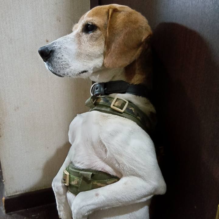 F73be3b6 c047 4204 93d7 da553fd6ee24 1739106271750