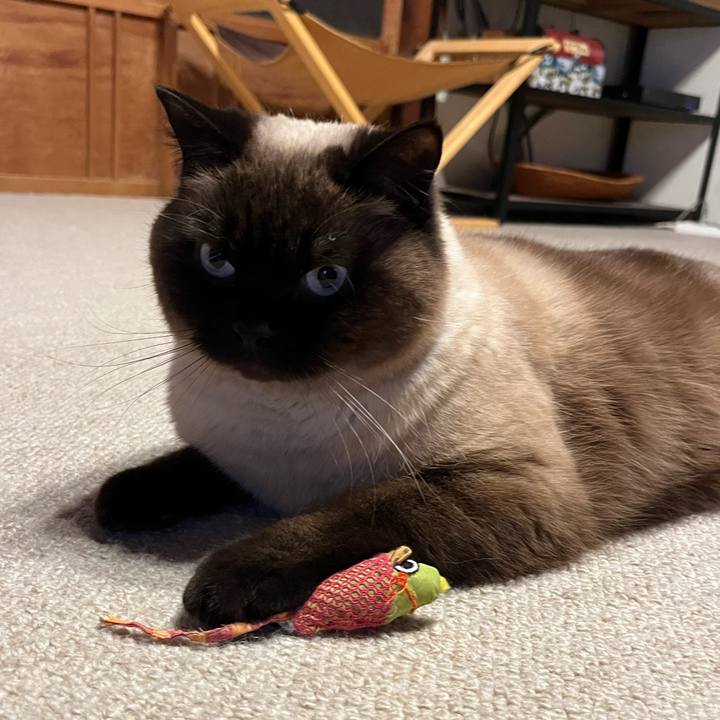 F73be6fb 7446 4511 821b 035afdc664f2 1651545833779