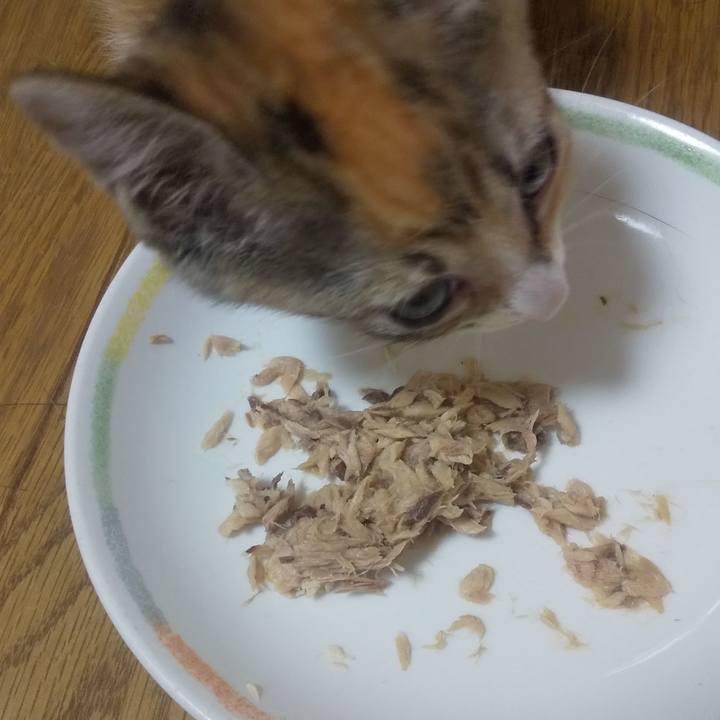 F73be893 6709 4a1c 95f3 79283be73c82 1721040339788