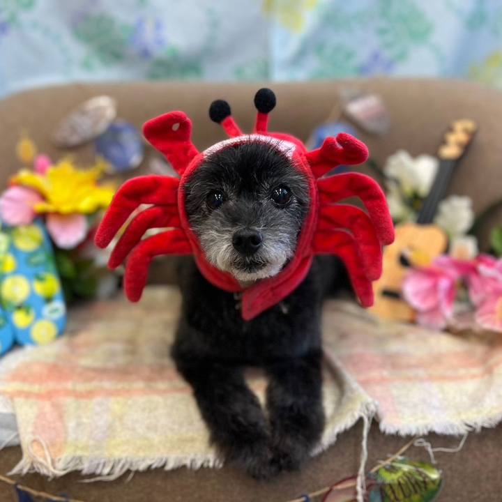 F73c2b41 a0b4 4d37 b543 e411510ce80d 1721531620474