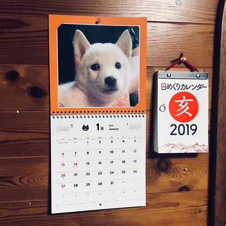 F73c3d19 d74f 4b60 81c9 d5844ceb28e9 1546268504067