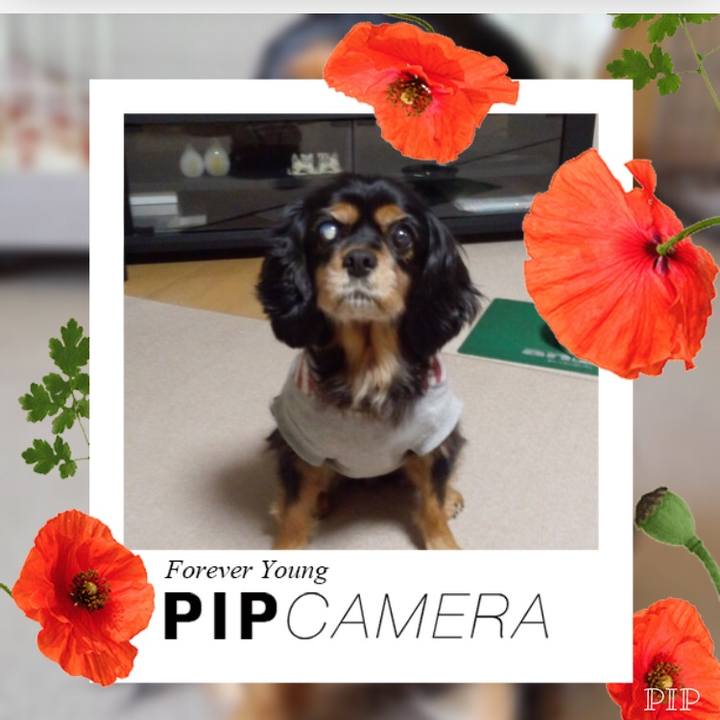 F73c45d8 5923 4359 bb85 ec1f153c6e2c 1534063049655