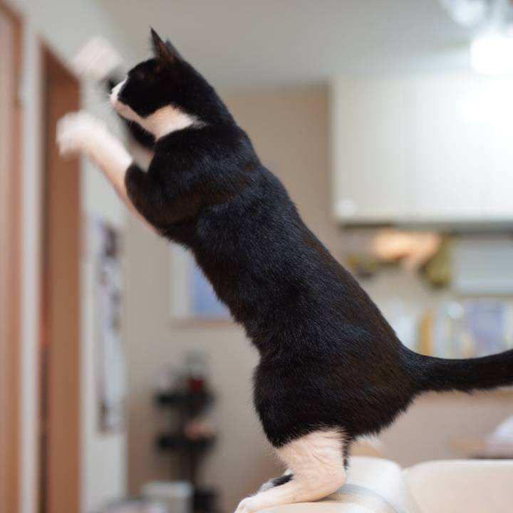 F73c55d0 bba2 491b 87d4 3b5eb55cfbdb 1576626225516