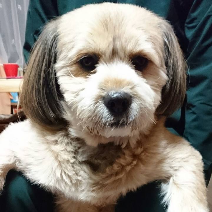 F73c5f87 f772 4cbb a7bb ce332b67be50 1512304644901