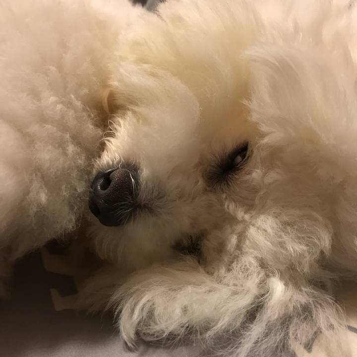 F73c63d1 494a 45a8 9189 8c25bed2a7a3 1593005823755