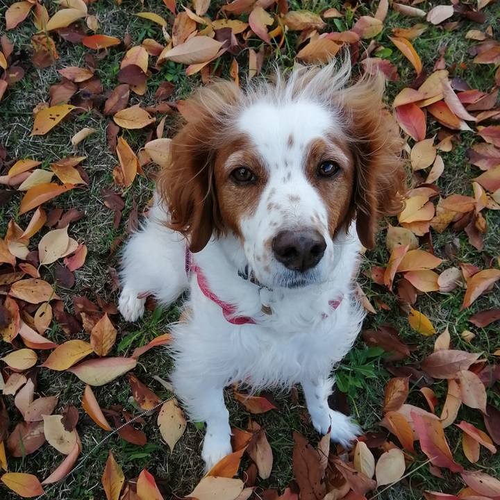 F73cc35a cfde 41d3 849f 8fd24e64031e 1604922656867