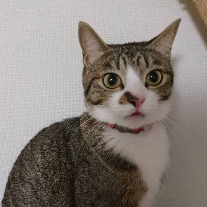 F73cc3fd ebfc 4092 8876 5620308c65ca 1707744152094