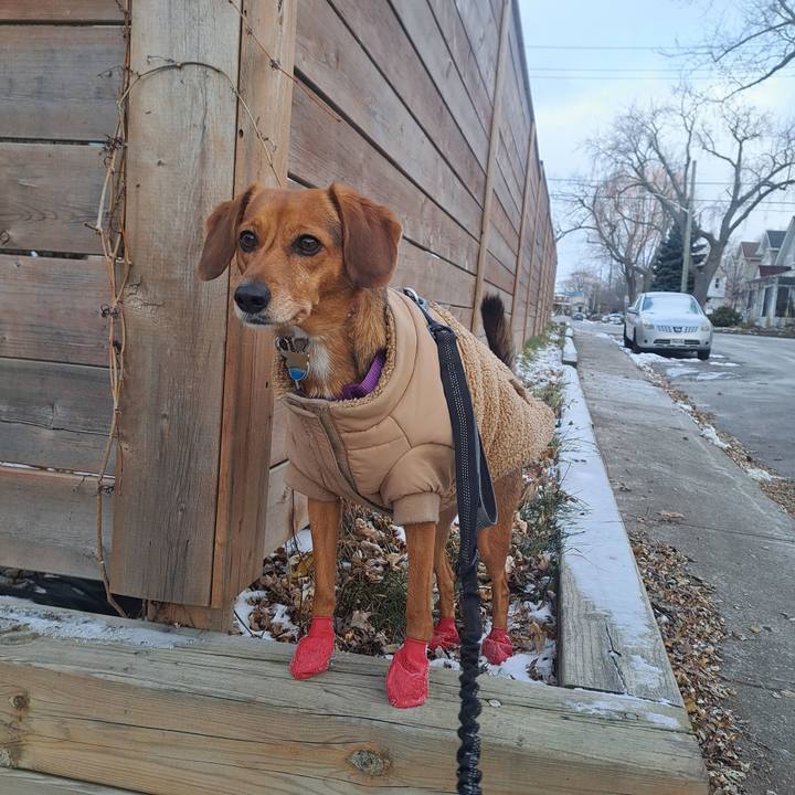 F73cd297 8f6b 4454 8bb2 c8f829b9443e 1764944261179