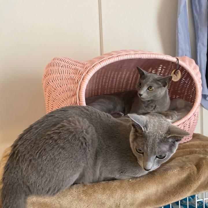 F73d03cf f75c 43f7 8ef3 2c5981be4a52 1668744081030