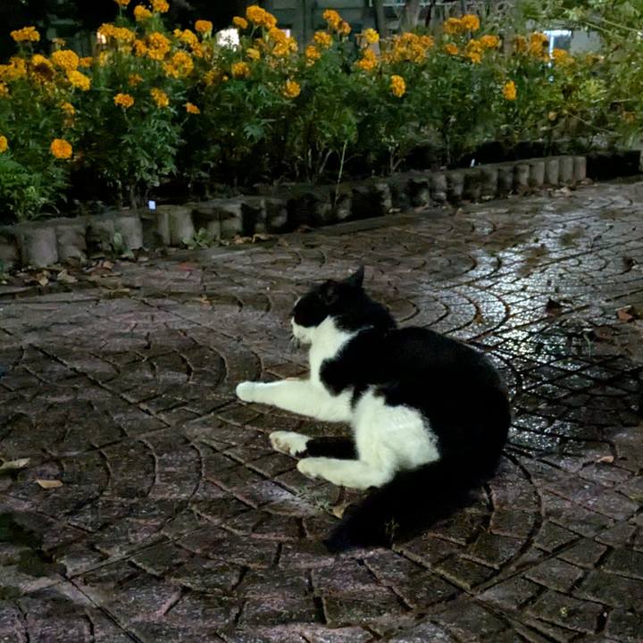 F73d4321 899e 49c0 af61 b3487d69d14e 1759673551663