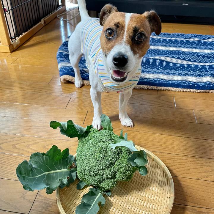 F73d8689 c20a 4827 ba22 4b408fdb6298 1625550799439