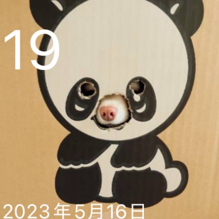 F73d884a 5d1f 4941 9d38 0ccea18ca28a 1747628940304